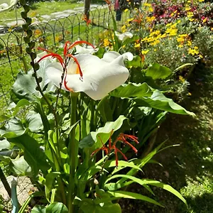 Appartamento Bilocale Olivi Con Giardino E Posto Auto Privato, Sanremo